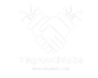 ybgrowthlabs.com